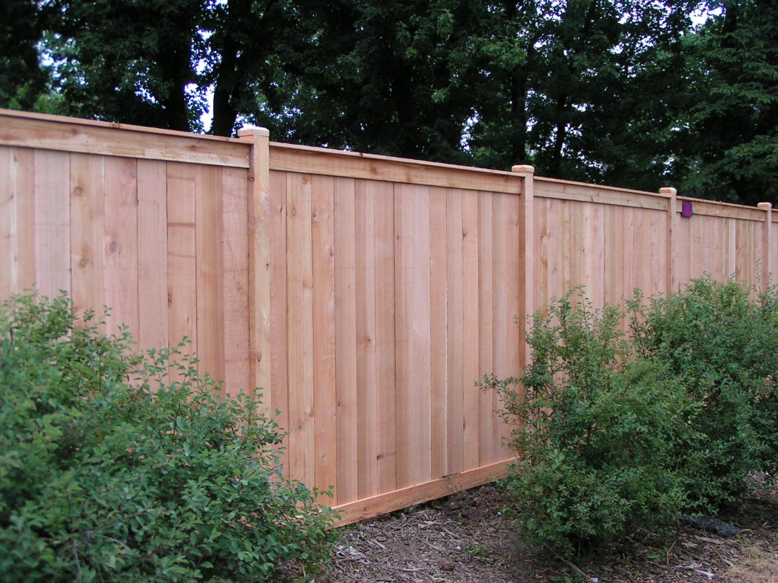 Cedar Fences